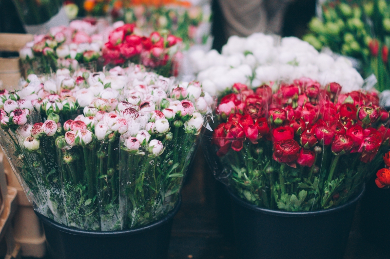 fleuriste-LE CANNET-min_farmers-market-1209712